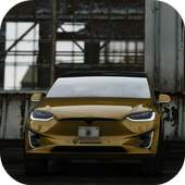 Driving School - Tesla Model X logo