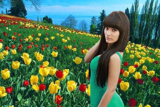 Tulip Photo Frame 2018 screenshot 1