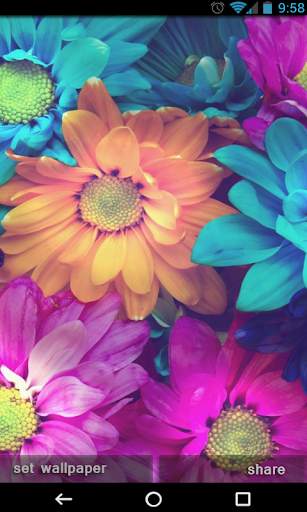 Flowers Wallpapers Ultra HD - Flowers 4K Wallpaper screenshot 2