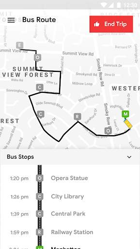 City Bus Driver- Template screenshot 4