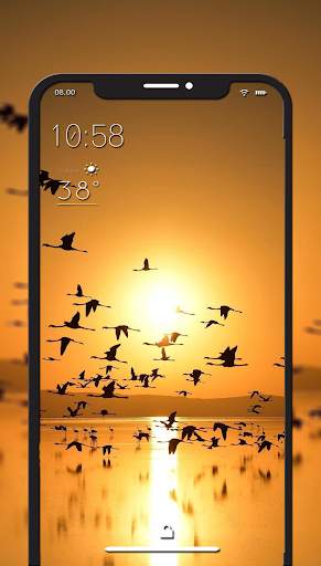 Bird Wallpaper – HD Wallpaper screenshot 5