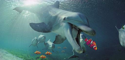 Hungry Dolphin : Dolphin Games screenshot 1