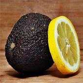 Fat Burning Foods 2.0