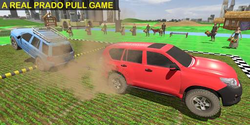 Prado Pull screenshot 4