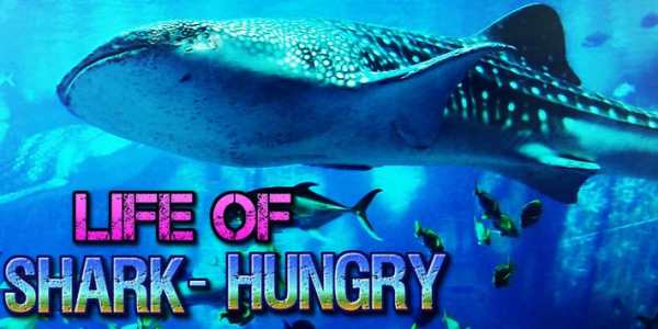 Life of Shark - Hungry Sim screenshot 8