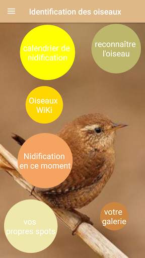 Identification des  oiseaux screenshot 1