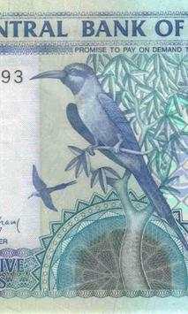 Dalasi Money Wallpapers screenshot 1