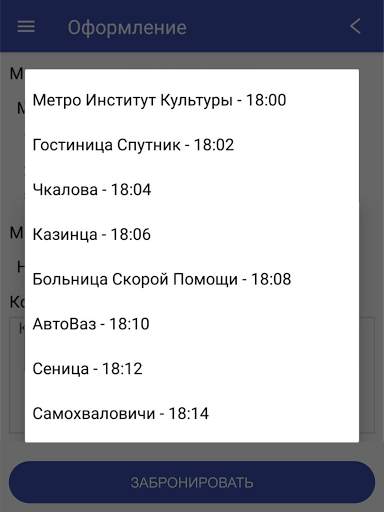 Bus Gomel-Moskva screenshot 9