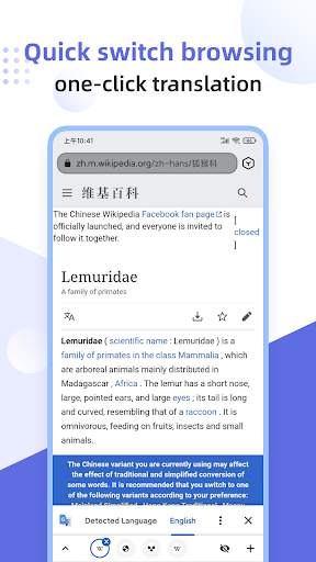 Lemur Browser - extensions screenshot 6