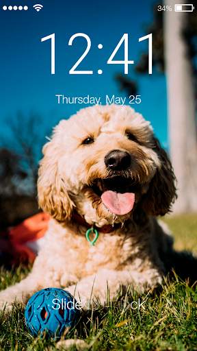 Funny Puppy Little Cute Dog Theme Nice Screen Lock screenshot 1