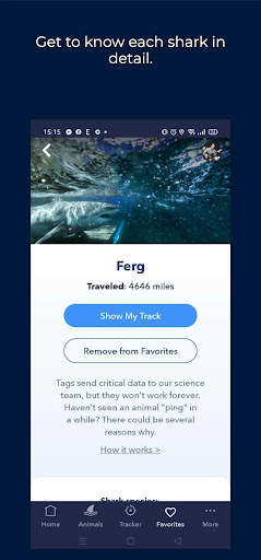 OCEARCH Shark Tracker screenshot 3