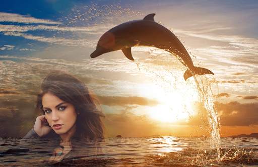 Dolphin Photo Frames screenshot 5