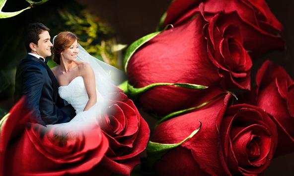 Red Rose Photo Frame скриншот 1