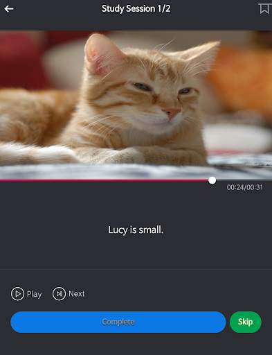 Basic English for Beginners screenshot 9