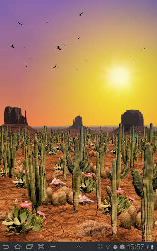 Desert Free Live Wallpaper screenshot 5