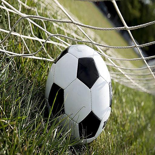 My World Soccer Livescore 2019 icon
