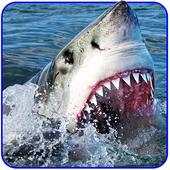 Angry Shark Attack Simulator - Adventure Game 1.1.1