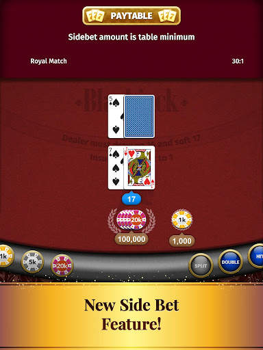 Blackjack Card Game screenshot 13