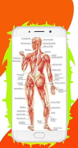 Human Body System – All Body System Offline screenshot 1
