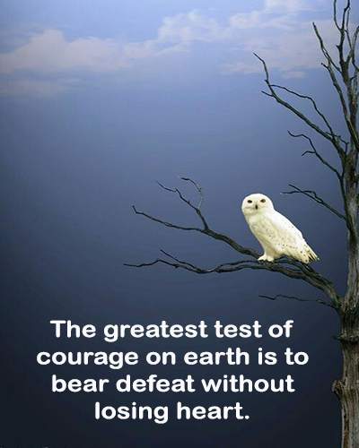 Courage & Strength Quotes 8 تصوير الشاشة