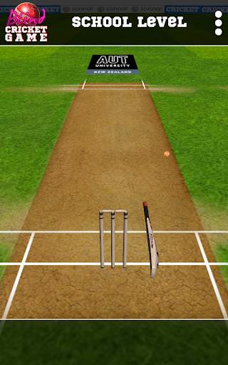 Blind Cricket screenshot 12