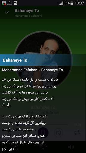 Mohammad Esfahani - songs offline screenshot 4