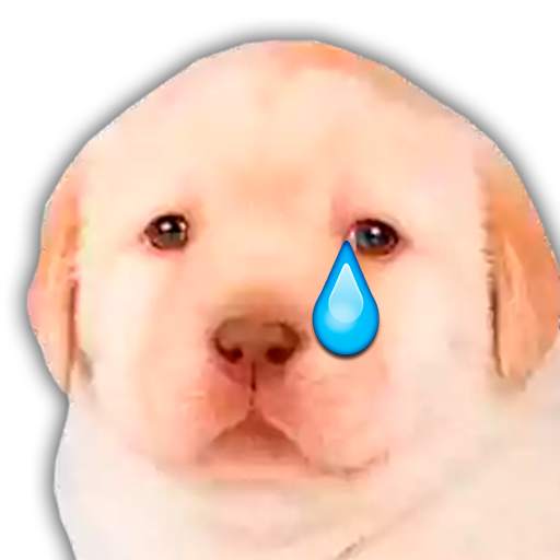Figurinhas de cachorros para WhatsApp com frases 3
