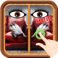 Find HuntThe Difference #16