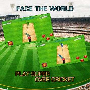 Super Over Cricket screenshot 6