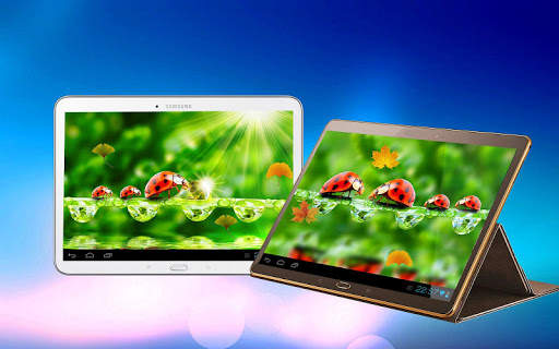 Ladybug 3D Live Wallpaper 8 تصوير الشاشة