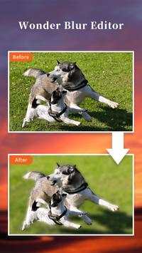Wonder Blur Editor screenshot 4