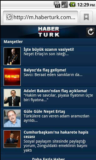 Mobil Website screenshot 3