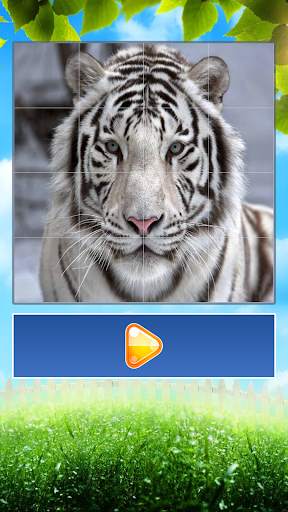 Animals World Tile Puzzle screenshot 6