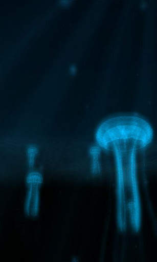 Jellyfish 3D LiveWallpaper screenshot 8