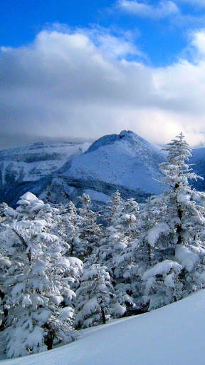 Winter Wallpapers : backgrounds hd screenshot 6