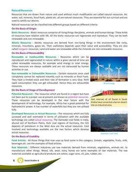 Social Studies 8 screenshot 4