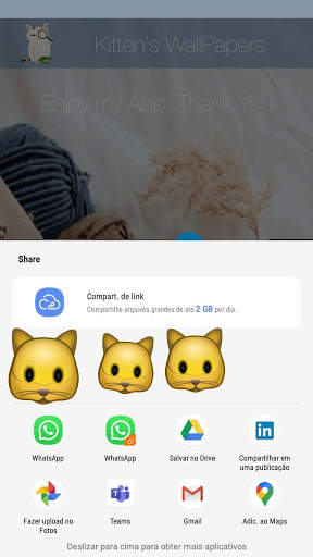 Fotos Fofas de Gatinhos para Papel de Parede screenshot 4