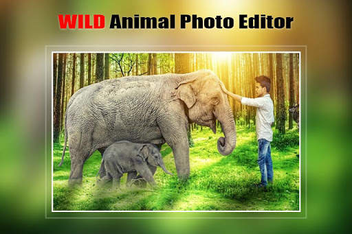 Wild Animal Photo Editor : Frame, Sticker, Effect screenshot 1