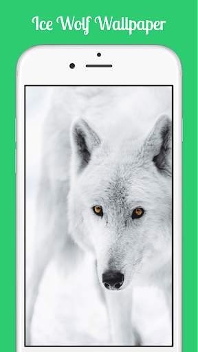 Ice Wolf Wallpaper screenshot 5