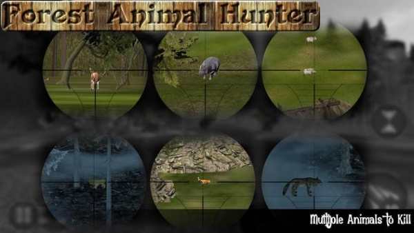 Wild Animal Hunting 3D screenshot 5