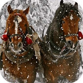 Horses Live Wallpaper أيقونة