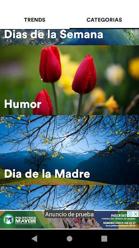 Estados para Whatsapp® screenshot 7