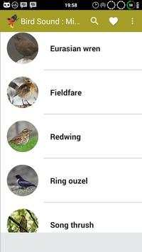 Birds Sound : Morocco screenshot 2