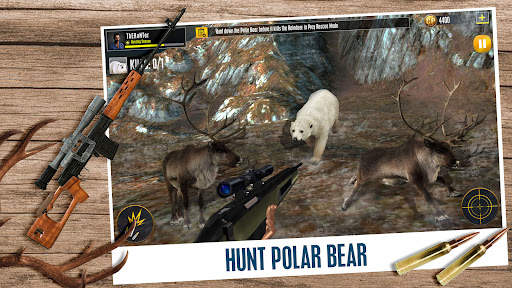 Animal Hunting Games Gun Games screenshot 15