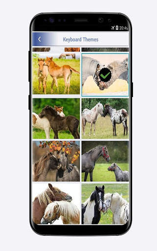 Pony horse love keyboard screenshot 6