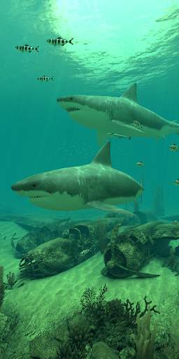 Sharks 3D - Live Wallpaper screenshot 3