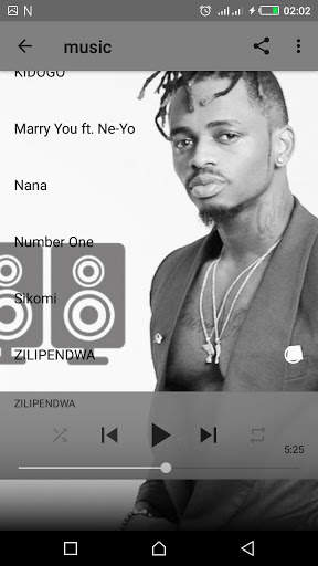 Diamond Platnumz– Top Songs- Without Internet 2019 screenshot 6