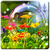 HD Nature Wallpapers icon