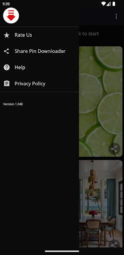 Video downloader 4 Pinterest screenshot 3