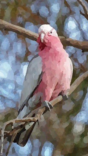 Fluffy Colors: Color by Number screenshot 6